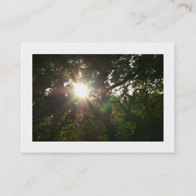 Cartão De Visita Sucursais japonesas 07 (delimitadas) (Frente)