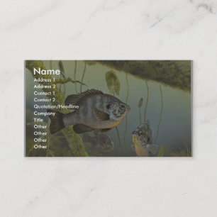 Cartão De Visita Sunfish de Redear