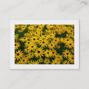 Cartão De Visita Susâneas de Olho Preto (Rudbeckia Hirta) (Bordada)