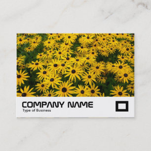 Cartão De Visita Susanos de olhos negros (Rudbeckia Hirta)