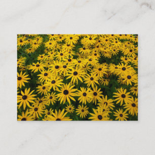 Cartão De Visita Susanos de olhos negros (Rudbeckia Hirta)
