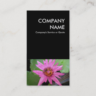 Cartão De Visita sushi