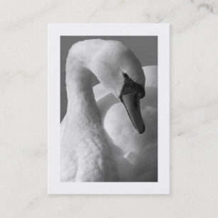 Cartão De Visita Swan B&W (Bordado)