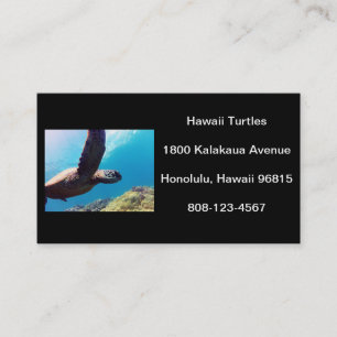 Cartão De Visita Tartaruga de Havaí