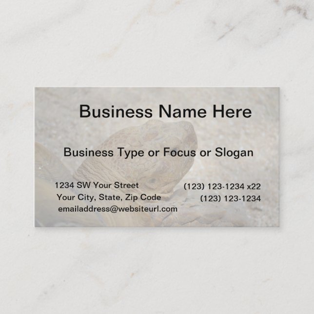 Cartão De Visita tartaruga fecha tartaruga velha (Frente)