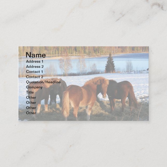 Cartão De Visita Tempo de Alimentação (Frente)