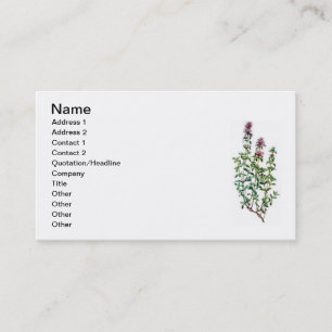 Cartão De Visita tomilho-de-breckland