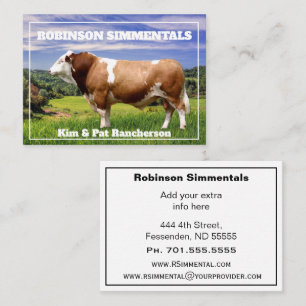 Cartão De Visita Touro Simmental em Pastura   