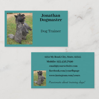 Cartão De Visita Treinador de Cães Aqua Blue Teal Foto mínima