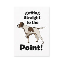 Treinador de Cães Pointer Inglês Direto ao Ponto