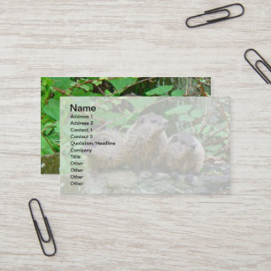 Cartão De Visita Três Bebês Groundhogs