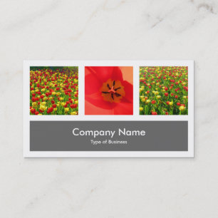 Cartão De Visita Três fotos mais uma - cinzas