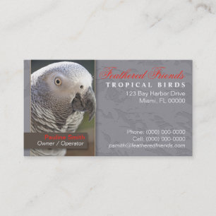 Cartão de visita tropical dos pássaros