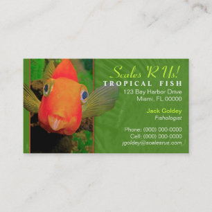 Cartão de visita tropical dos peixes