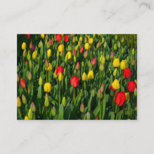 Cartão De Visita Tulipas Coloridas
