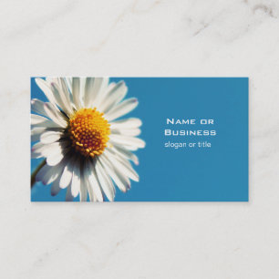 Cartão De Visita Uma margarida branca brilhante sob um céu azul