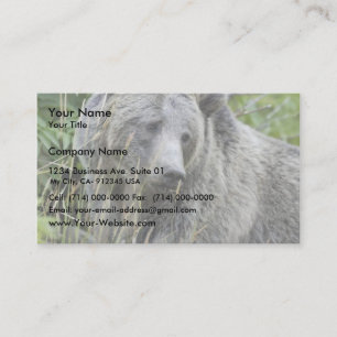 Cartão De Visita Urso de urso no parque nacional de Yellowstone