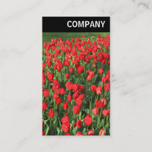Cartão De Visita V Cabeçalho - Cama de Tulipas Vermelhas 02