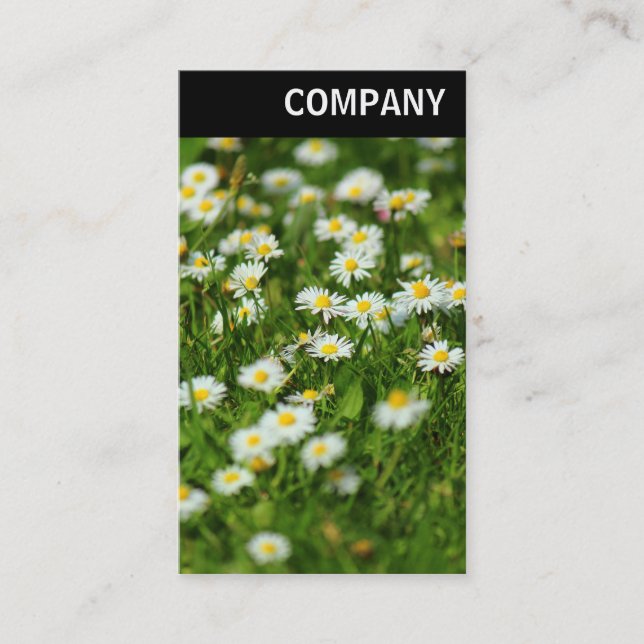 Cartão De Visita V Cabeçalho - Daisy Meadow (Frente)