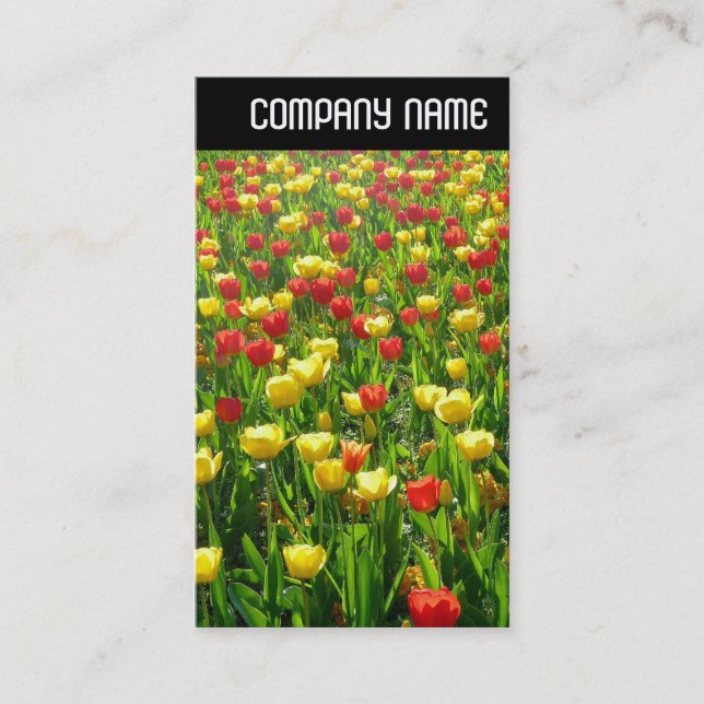 Cartão De Visita V Cabeçalho - Mar de Tulipas II (Frente)