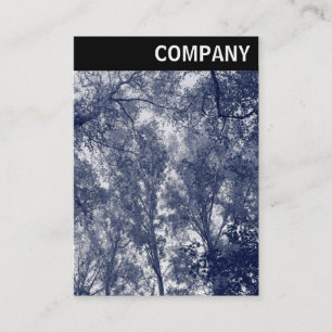 Cartão De Visita V Cabeçalho - outono Azul