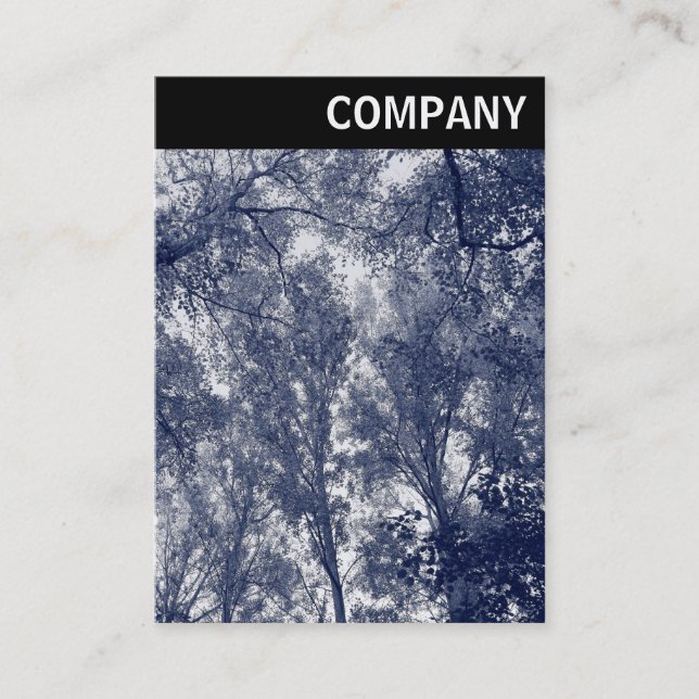 Cartão De Visita V Cabeçalho - outono Azul (Frente)