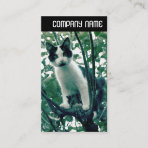 Cartão De Visita V Cabeçalho - Superfluência da travessura