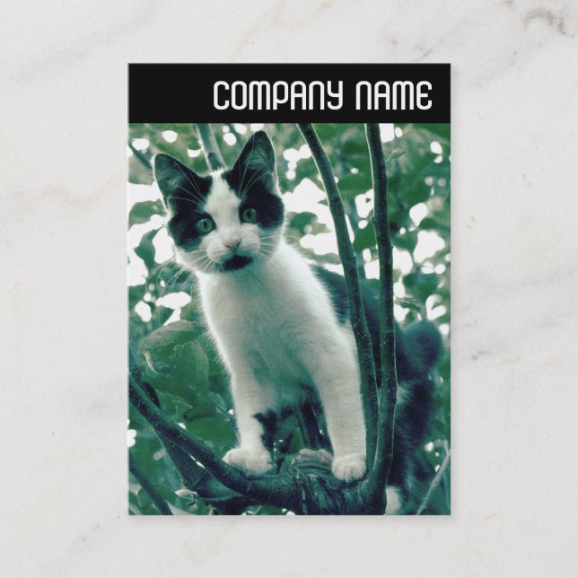 Cartão De Visita V Cabeçalho - Superfluência da travessura (Frente)