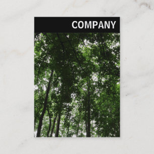 Cartão De Visita V Cabeçalho - Woodland Canopy 01