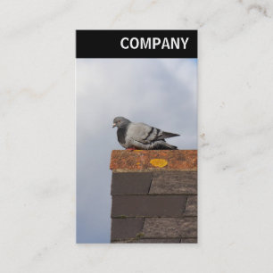 Cartão De Visita V Header - Boas Manhãs Pombo