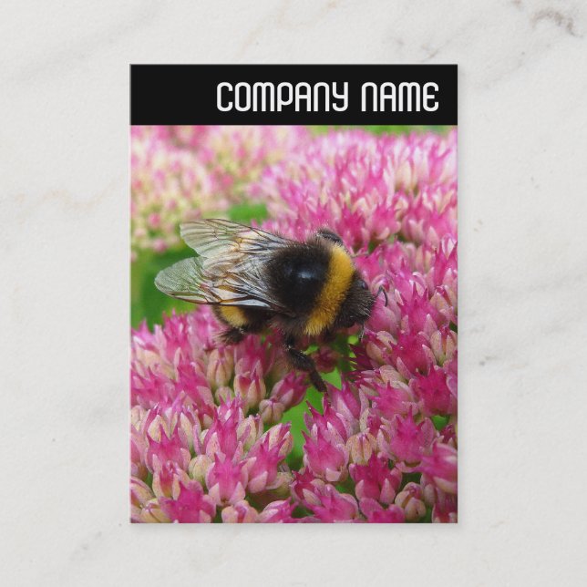 Cartão De Visita V Header - Bumble Bee no Sedum (Frente)
