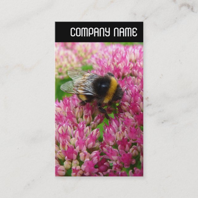 Cartão De Visita V Header - Bumble Bee Sedum (Frente)