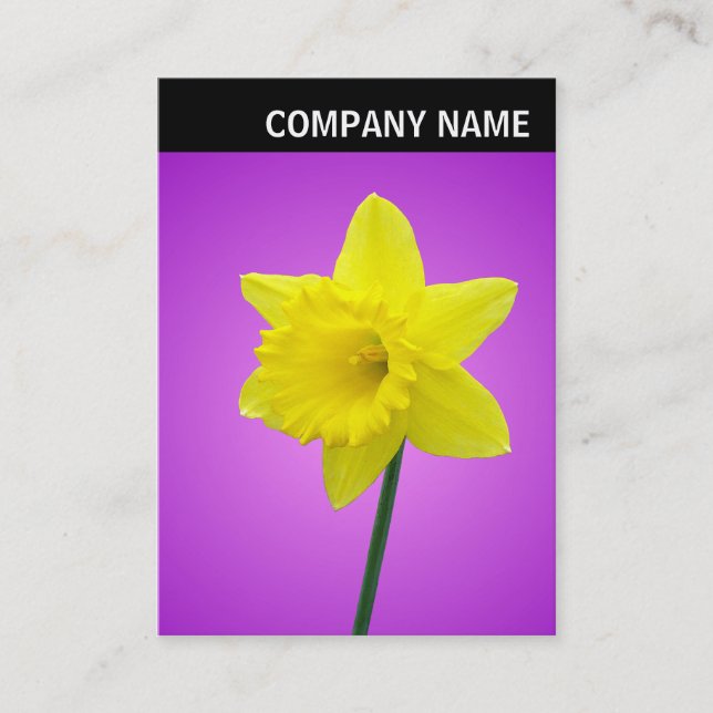 Cartão De Visita V Header - Foto - Daffodil (Frente)
