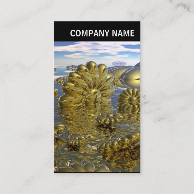 Cartão De Visita V Header - Foto - Terra de Midas (Frente)