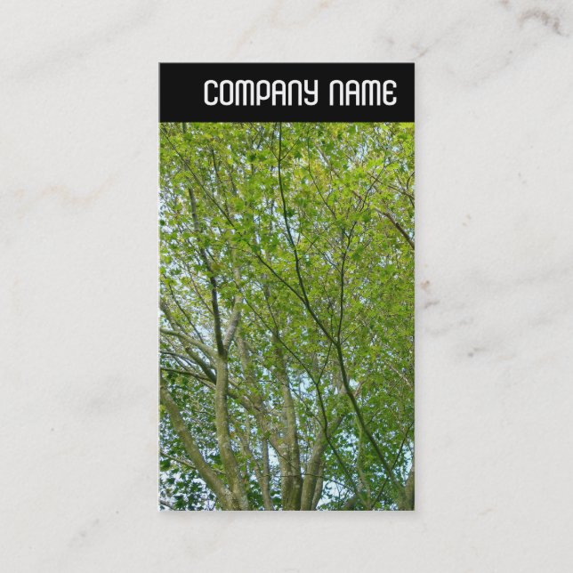 Cartão De Visita V Header - Mapeamento Japonês (Frente)