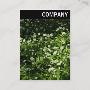 Cartão De Visita V Header - Wild Garlic