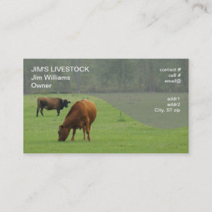 Cartão De Visita vacas marrons que pastam