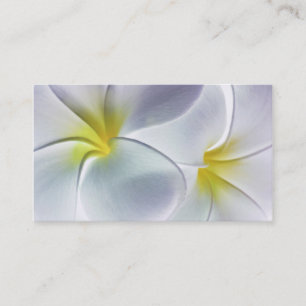 Cartão De Visita Vazio personalizado flor de Havaí do Frangipani d