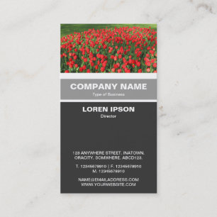 Cartão De Visita Vertical Banded - Bed of Red Tulips 02