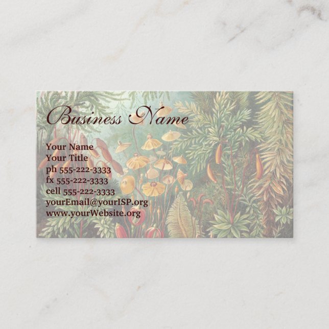 Cartão De Visita Vintage Muscinae, Moss Vegetais de Ernst Haeckel (Frente)