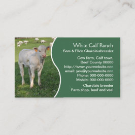 Cartão De Visita Vitela branca do charolês com painel verde