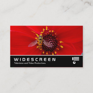 Cartão De Visita Widescreen 145 - Mosca-flutuante em uma Dália