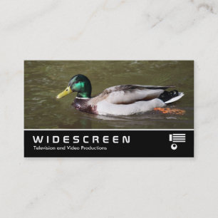 Cartão De Visita Widescreen 401 - Pato Mallard