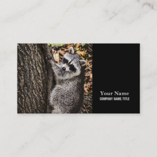 Cartão De Visita Wilderness Wilderness Raccoon