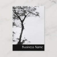 Zen Tree Balance l Nature Fotografia Chubby