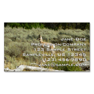 Cartão De Visitas Magnético Antílope americano no Parque Nacional Grand Teton