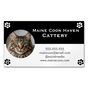 Cartão De Visitas Magnético Black and White Maine Coon Personalizável