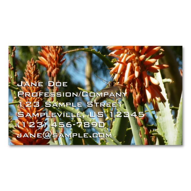 Cartão De Visitas Magnético Black-Chinned Hummingbird in Flight (Frente)