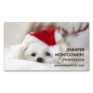 Cartão De Visitas Magnético Cachorro Branco bonito num chapéu de Natal Vermel