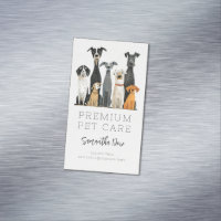 Cães Cachorros Cachorros Pet Sitter Cachorro